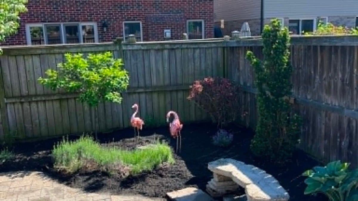 Garden design, flagstone path & lavender beds
