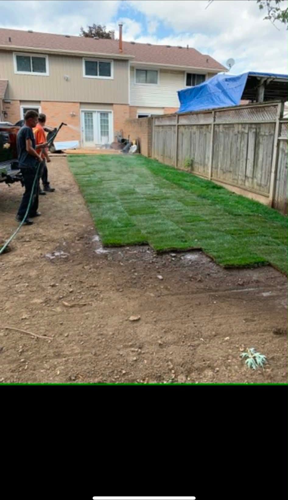 Fresh sod installation